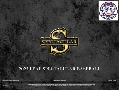 Carlos Delgado 2025 Hoja Espectacular Béisbol 2 Estuche 6Box Break #1 Foto 1 de 4