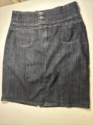 Ashley Stewart Mujer PLUS 18W Azul Elástico Denim Falda Hasta la Rodilla Foto 1 de 4