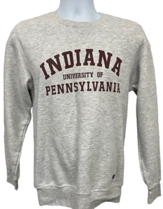 Sudadera Gris Indiana University of Pennsylvania (IUP) Cuello Redondo Talla Pequeña - Imagen 1 de 9