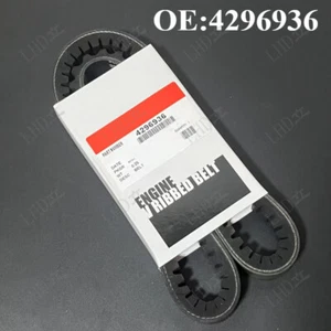 Fan Belt 4296936 Fit For Cummins NTA855 Engine New 1PC/ - Bild 1 von 4