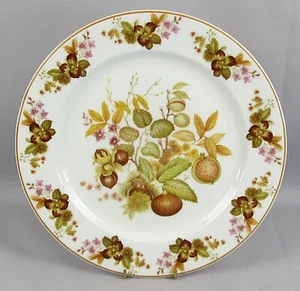 Royal Doulton Dinner Plate 27cm China Hazlenuts Leaves Harvest Autumn Conkers - Picture 1 of 5