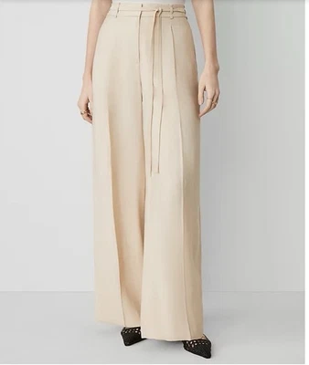 Pantalones Ann Taylor Borde Arenas Pierna Ancha Cinturón Talla 8 Nuevos con Etiquetas Foto 1 de 3