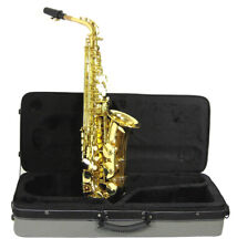 Roy Benson AS-202 Alt Saxophon lackiert