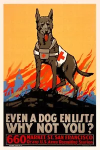 Póster de propaganda de reclutamiento de EE. UU. Primera Guerra Mundial - Even a Dog Enlists, Cruz Roja Americana - Imagen 1 de 63