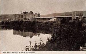 Postcard Waverly, Washington: Beet Sugar Factory, Divided Back, Posted 1908 - Picture 1 of 3