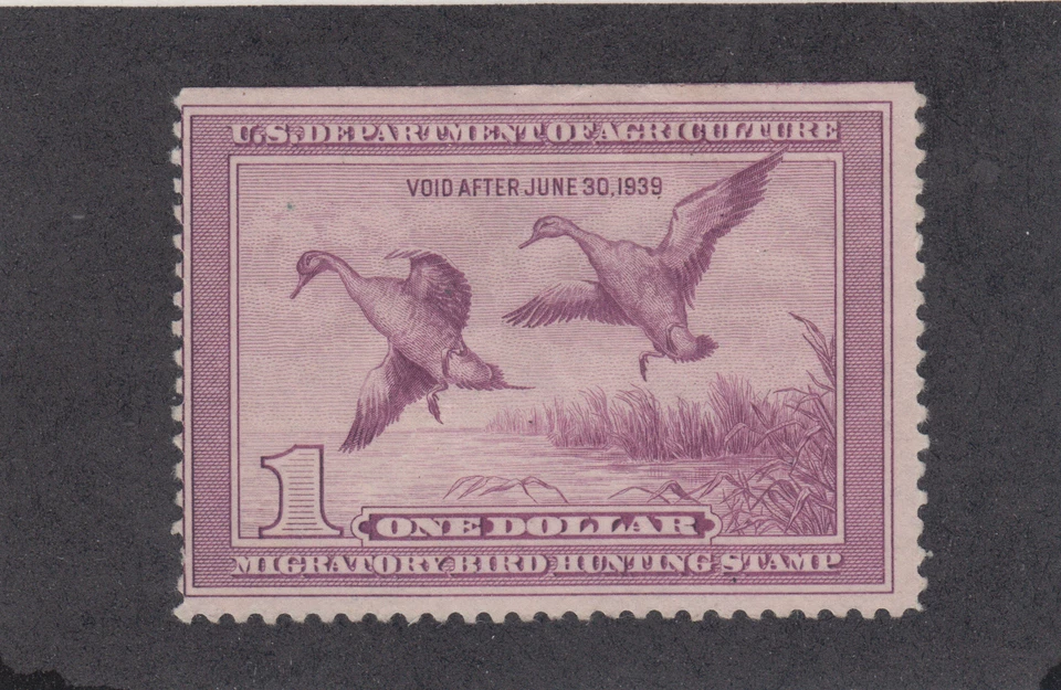 US Sc RW5 MLH. 1938 $1 light violet Duck Hunting Permit Stamp, natural SE, VLH - Image 1 of 1