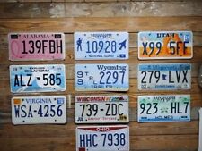 Variety Pack of 10 expired 2013 Mixed State Craft License Plate Tags ~ 139FBH