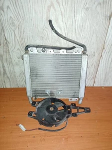 Radiatore di Raffreddamento Liquido/Acqua Originale PIAGGIO BEVERLY 500 (03/07) - Foto 1 di 24