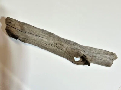 Driftwood Natural Aquarium Terrarium Beach Decor Taxidermy Centerpiece 14.5 x 3” - Image 1 of 4