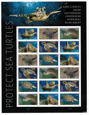 #5865-5870 Protect Sea Turtles (forever) 2024 Issue - Sheet of 18 (6 Designs) - Image 1 of 2
