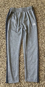 Reebok Youth XL (18-20) Boys Grey Athletic Sweatpants with Black Stripe - Picture 1 of 6