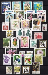 101386/ Blumen und Pflanzen - schönes Lot - o - nichts gerechnet - siehe scan - Picture 1 of 1