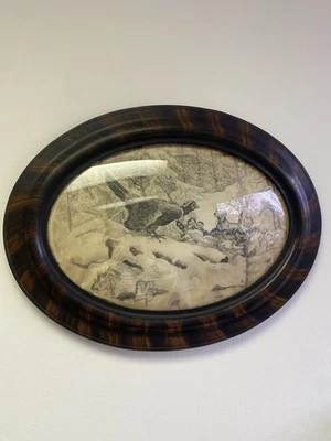 Marco de fotos victoriano de 1800 burbuja vidrio convexo ovalado madera de tigre 25 x 15 pulgadas Foto 1 de 4