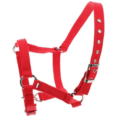  Reitreiter -Heckholder und Seil für die Verstellbar und gepolstert für den - Bild 1 von 4