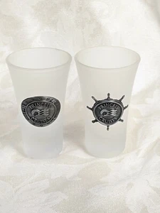 PRINCESS CRUISES Shot Glass Tall Flared Frosted Raised Metallic Sea Wheel Logo - Picture 1 of 4