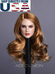 1/6 Female Head Sculpt Long Hair For 12" TBLeague Hot Toys PHICEN Figure USA