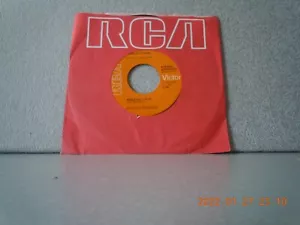 PRIDE,CHARLEY 7"vinyl...AMAZING LOVE/BLUE RIDGE...RCA...VG+...'73 - Bild 1 von 2