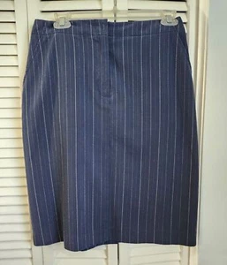 VTG Chadwick's Women's Pencil Skirt Navy Blue Pinstripe Structured Carrer size 8 - Picture 1 of 7