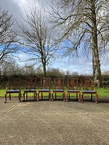 Set of Six Large Antique Chippendale Style Mahogany Dining Chairs Inc 2 Carvers - Picture 1 of 12