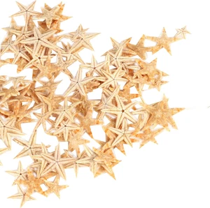 Pequeña estrella de mar 90 piezas artesanía de playa concha de mar 0,4"-1,2"  - Imagen 1 de 12
