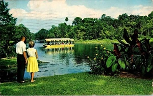 Vintage 1960s Silver Springs Florida Glass Bottom Boat Postcard - Picture 1 of 2