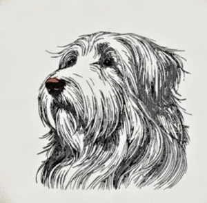 Bearded Collie Puppy Personalized Embroidered Fleece Stadium Blanket - Picture 1 of 2