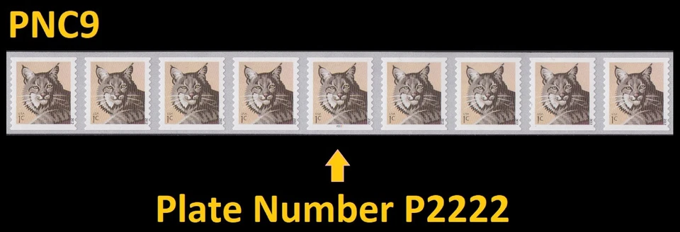 US 4672 Bobcat 1c PNC9 P2222 MNH 2012 - Image 1 of 1