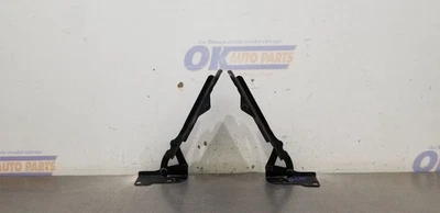 04 DODGE VIPER GEN 3 JUEGO DE BISAGRAS CAPÓ PAR Foto 1 de 4