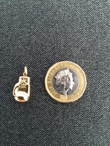 9 Carat Yellow Gold 15mm Hollow Boxing Glove Pendant - Picture 1 of 4
