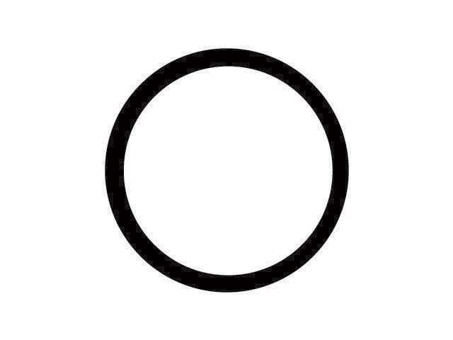 Junta tórica termostato 56TG52G para Chrysler PT Cruiser 2001-2010 2,4 L 4 cilindros GAS Foto 1 de 1