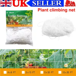Plant Support Netting Fruit Climbing Mesh Garden Vegetable Pea Bean Grow Fence - Picture 1 of 28