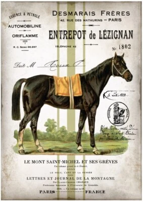 BÜGELBILD-Vintage-Shabby-Nostalgie-French-Pferd-Horse-3253 - Bild 1 von 2