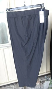 New Eileen Fisher Graphite Gray 2x Ankle Pants Flat Front $168 Washable Crepe - Picture 1 of 12