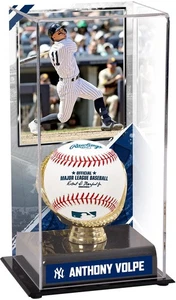 Anthony Volpe New York Yankees Gold Glove Display Case with Image - Picture 1 of 1