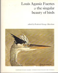 Louis Agassiz Fuertes and the Singular Beauty of Birds - Imagen 1 de 1