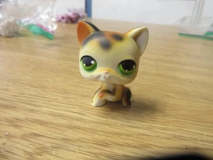 Authentische Littlest Pet Shop # 27 orange Calico Katze grüne Augen LPS Paw Up - Bild 1 von 6