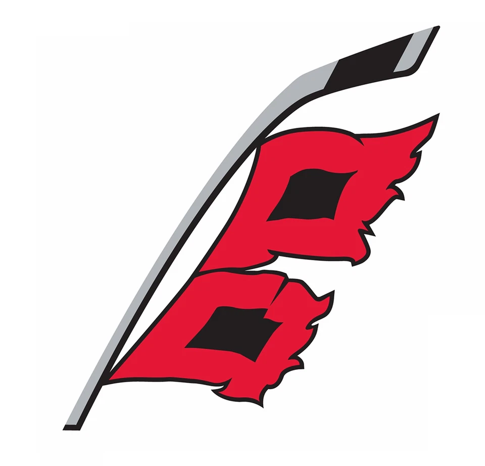 SSSCO Carolina Hurricanes Logo Weather Resistant Vinyl Sticker/Decal 03