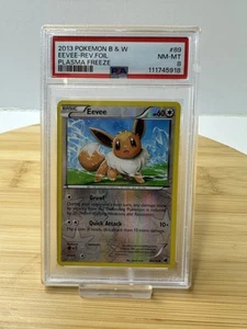 2013 Pokémon Black & White Eevee 89/116 Reverse Foil  Plasma Freeze PSA 8 NM-MT - Picture 1 of 6