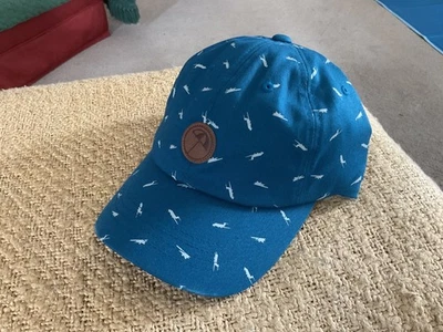 Puma Arnold Palmer Umbrella Teal Adjustable Golf Hat BRAND NEW - Image 1 of 4