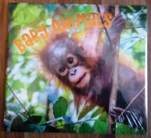 CALENDARIO DE PARED - COLECCIONABLES 2023 ANIMALES DE ZOOLÓGICO BEBÉ + PÁGINAS DE BONIFICACIÓN Y SECCIÓN DE NOTAS - Imagen 1 de 2
