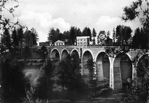 98 CARTOLINA SILA PONTE DELLA NAZIONALE SILANA VIAGGIATA NEL 1955 COSENZA - Imagen 1 de 2