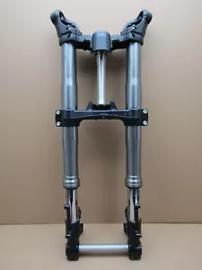 Kawasaki Ninja H2 ZX1002 Z1000SX 2018 fork tube stanchions (12415) - Picture 1 of 19