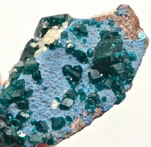 +++ DIOPTASE, SHATTUCKITE, CALCITE MINDOULI DISTRICT, REPUBLIC OF THE CONGO +++ - Picture 1 of 8