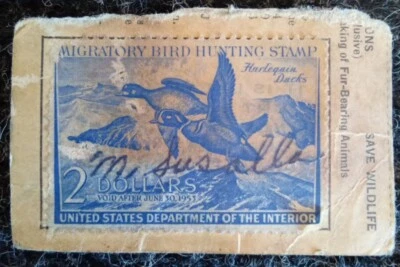 Vintage United States - 1952-1953 Sc. RW-19, Migratory Bird Hunting Stamp - Image 1 of 4