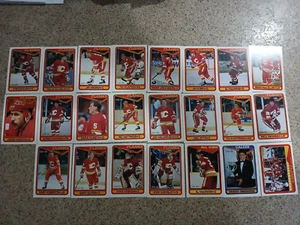 1990-91 OPC O-Pee-Chee Calgary Flames Team Set 23 cartas - Imagen 1 de 1