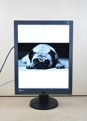 EIZO RadiForce GX240 Monitor 21.3-inch Wide Medical High-definition Monitor Used - Image 1 of 4