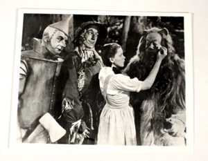 Zauberer von Oz 8"x10" Foto Judy Garland Feiger Löwe weint Photo Photograph - Bild 1 von 1