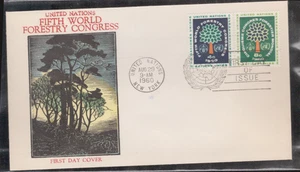 1960 UN FDC - Scott# 81-82 - correo extranjero coloreado a mano con hoja informativa - Imagen 1 de 2