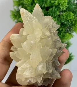 113Grams Natural Dog Tooth Calcite Terminated Crystal Specimen From Pakistan - Picture 1 of 20