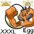 Alolan Geodude XXXL Shiny Egg Lv. 1 6IV Jumbo Adamant Pokemon Scarlet Violet SV